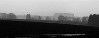 View east from the front line of the 101st Airbourne at Bastogne, 1945.